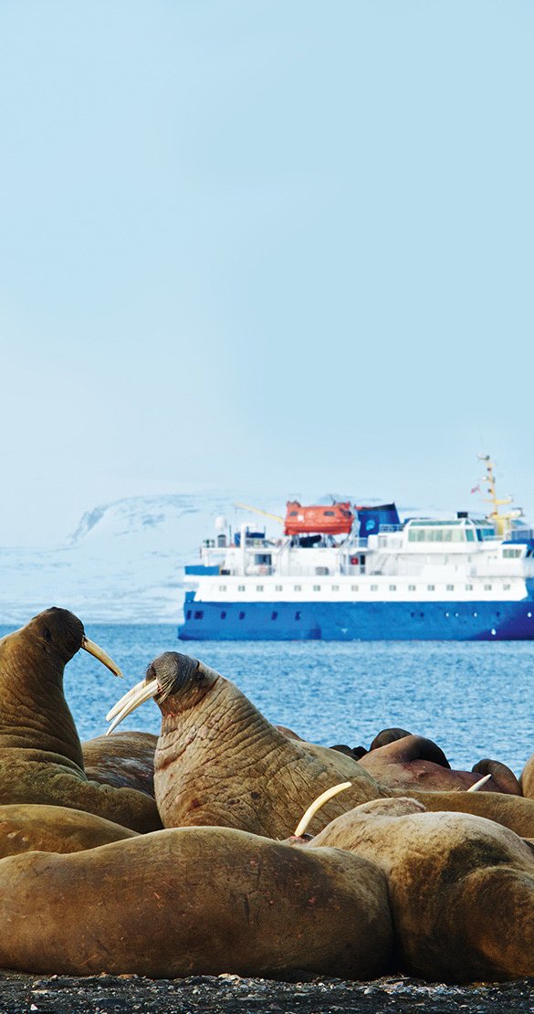 MS Quest - Expeditiecruise - Spitsbergen