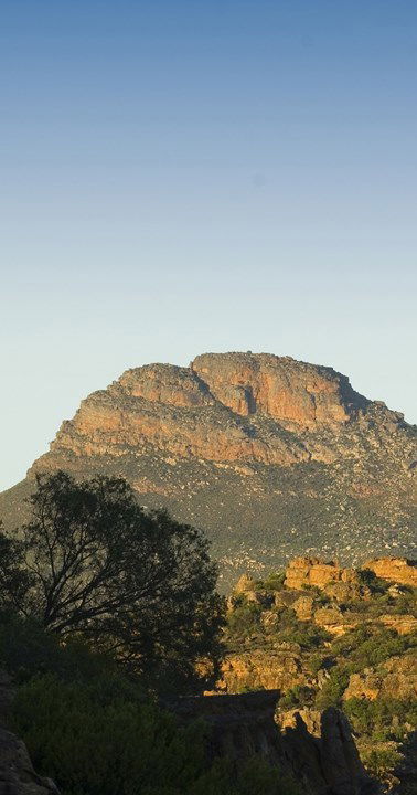 Bushmans Kloof gebergte