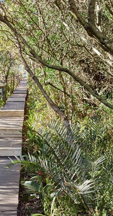 Prana Lodge brug