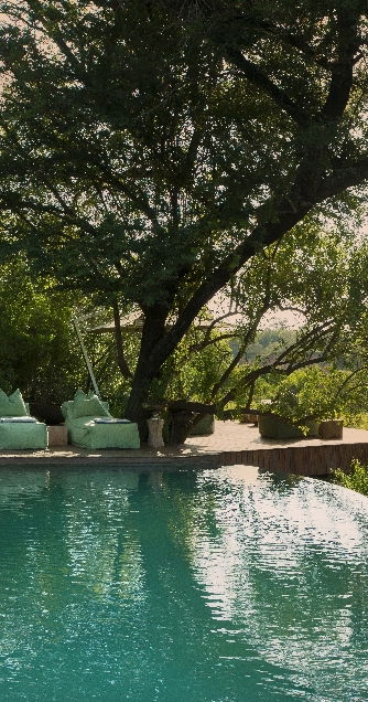 Ngala Tented Camp zwembad