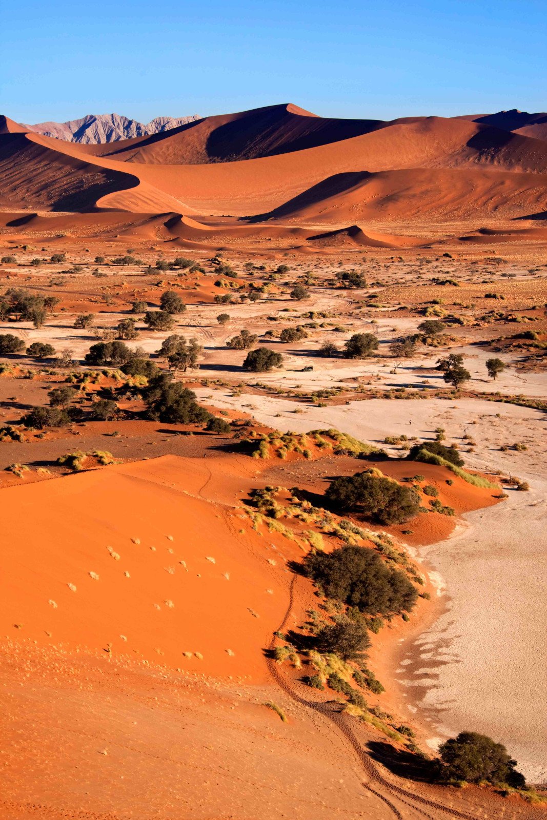 Namibië - Rondreis Afrika - Namib dessert