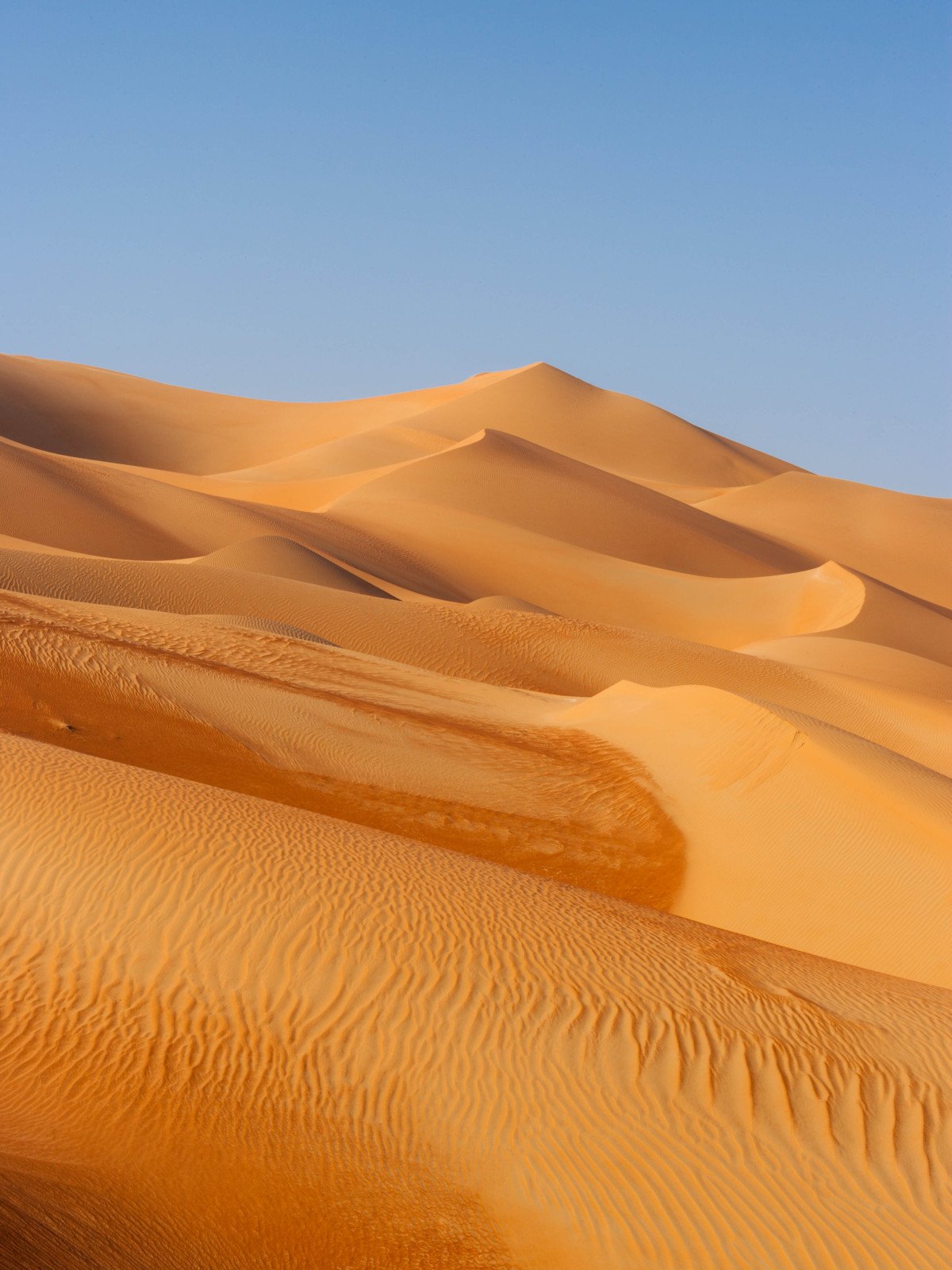 Woestijn - Midden-Oosten reizen