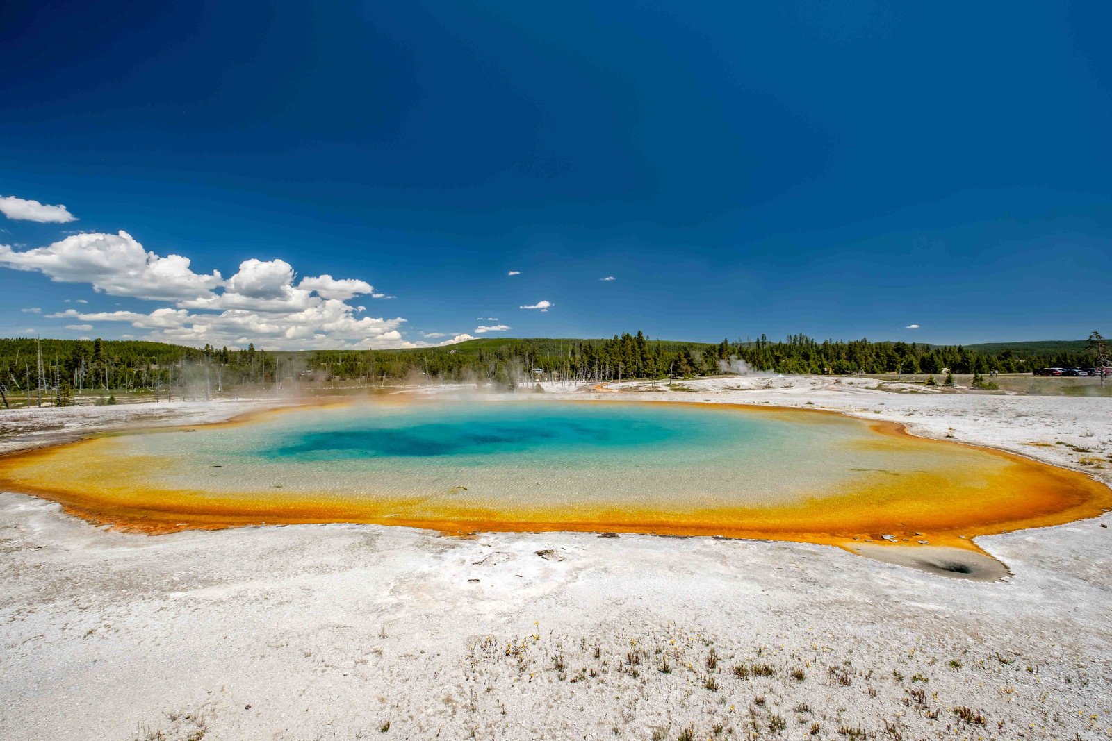 Yellowstone NP - Amerika - Noord-Amerika Reizen