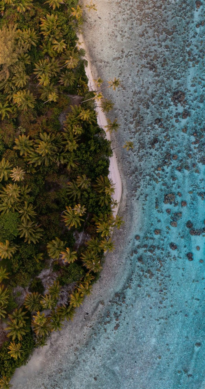 Zee - Strand - Jungle - Frans Polynesie - Bora Bora - Vakantie