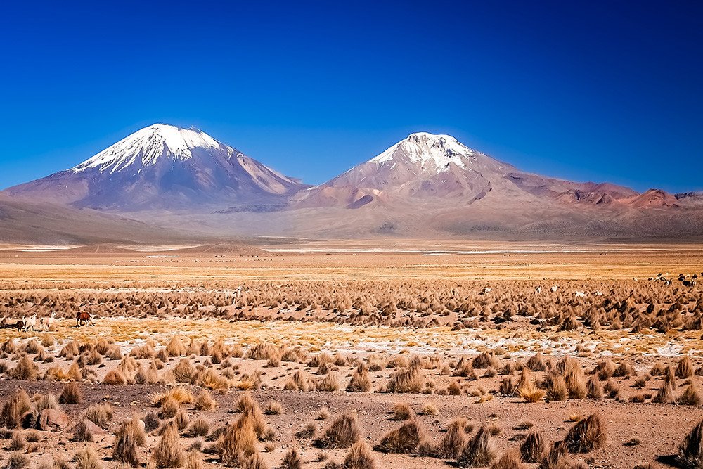Rondreis Zuid-Amerika - Bolivia bergen