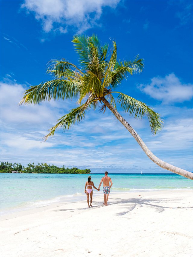Strand - Malediven vakantie - Palmboom