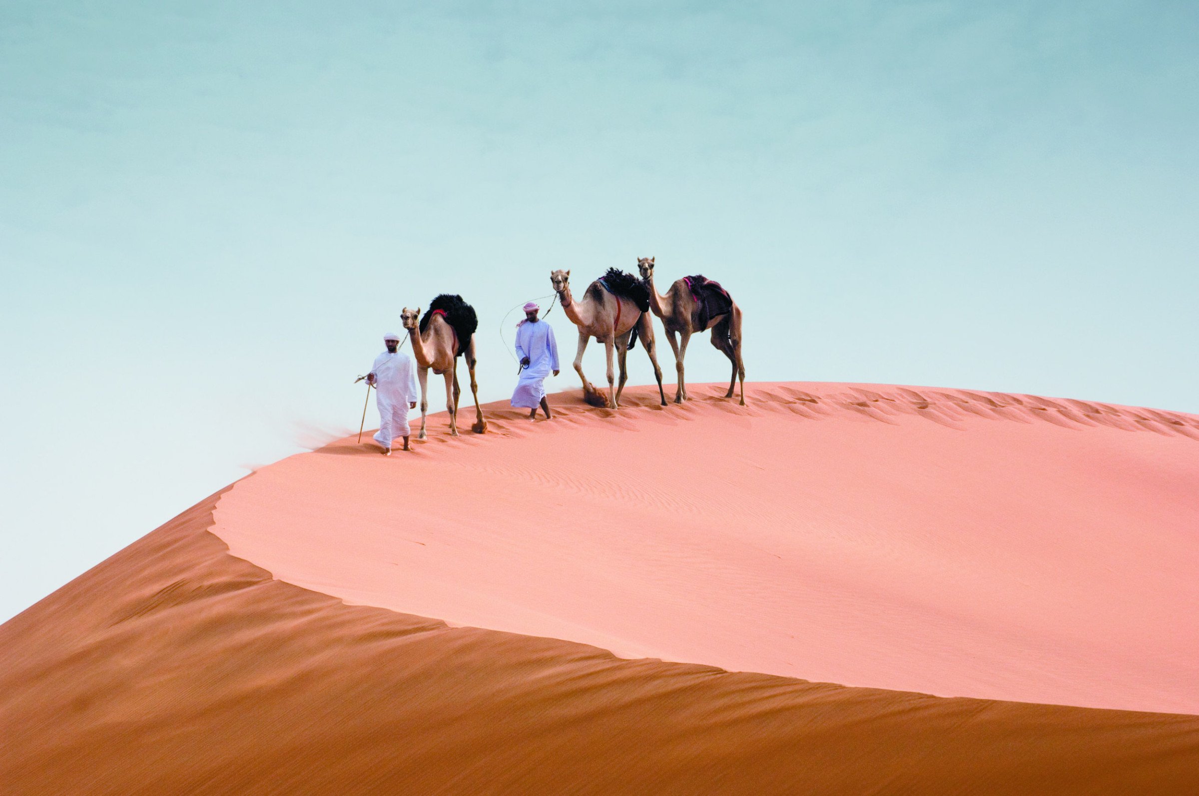 Woestijn - Kamelen -  Vakantie Abu Dhabi