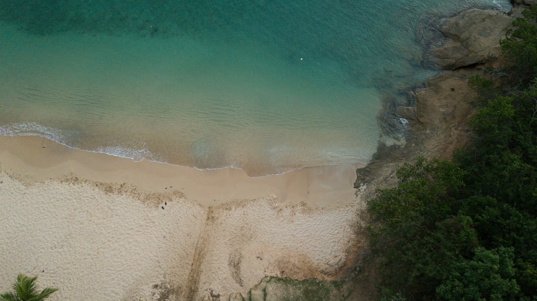 Antigua vakantie - Strand