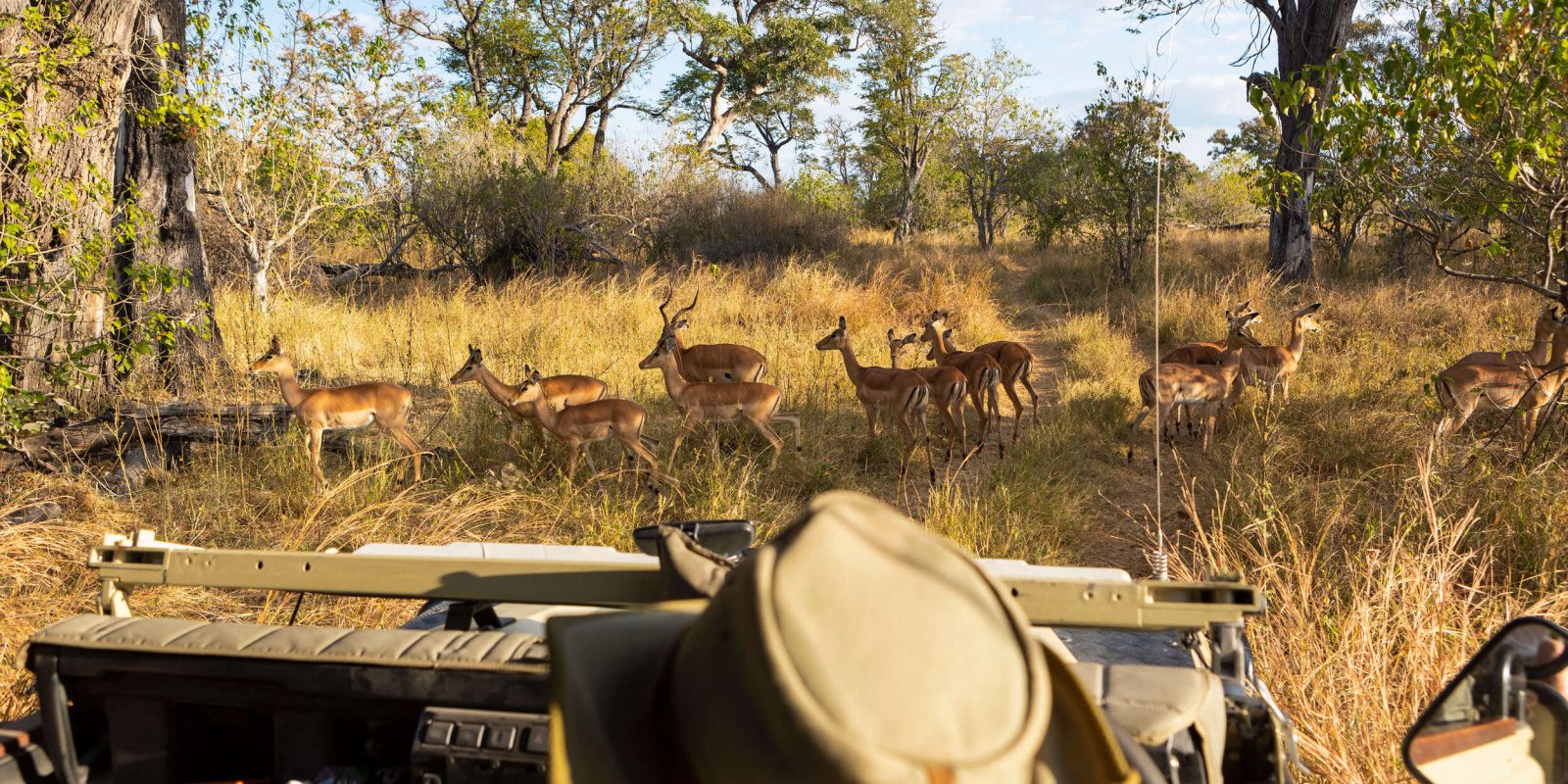 Safari Jeep - Reizen naar Botswana