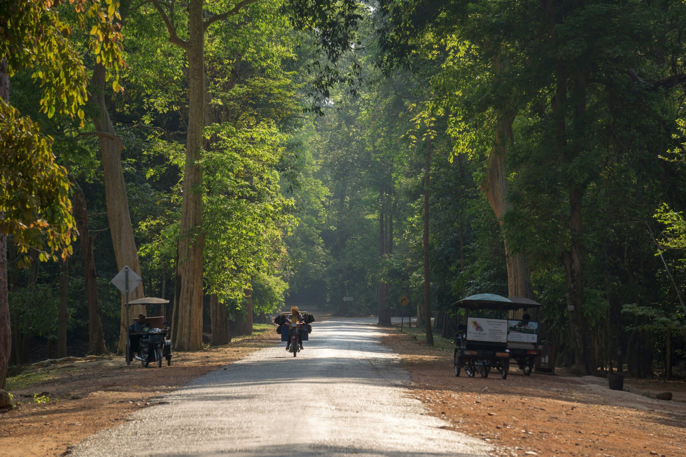 Natuur - Cambodja reizen