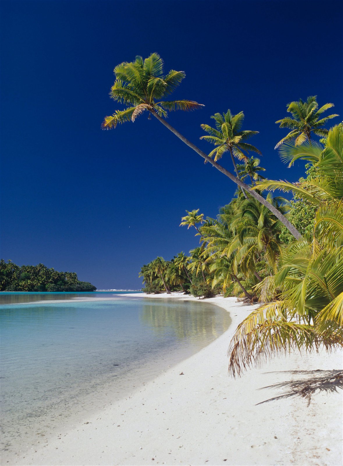 Palmbomen - strand - Cook Eilanden