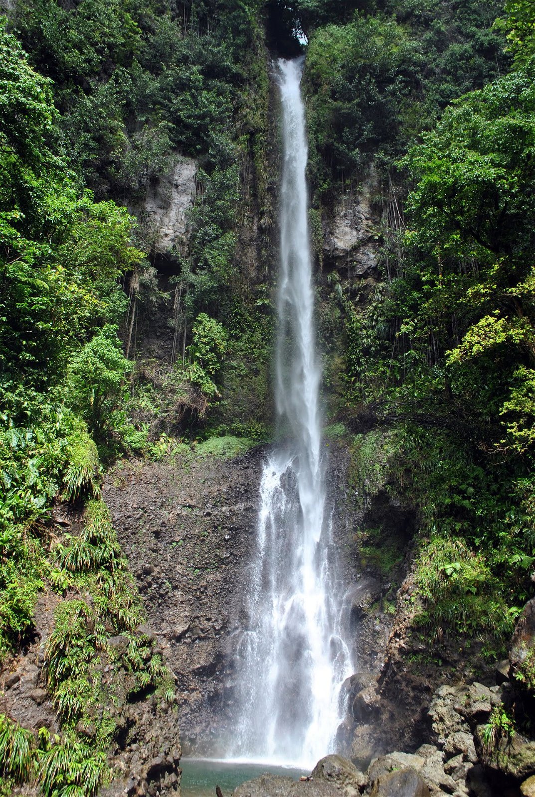 Waterval - Dominica vakantie
