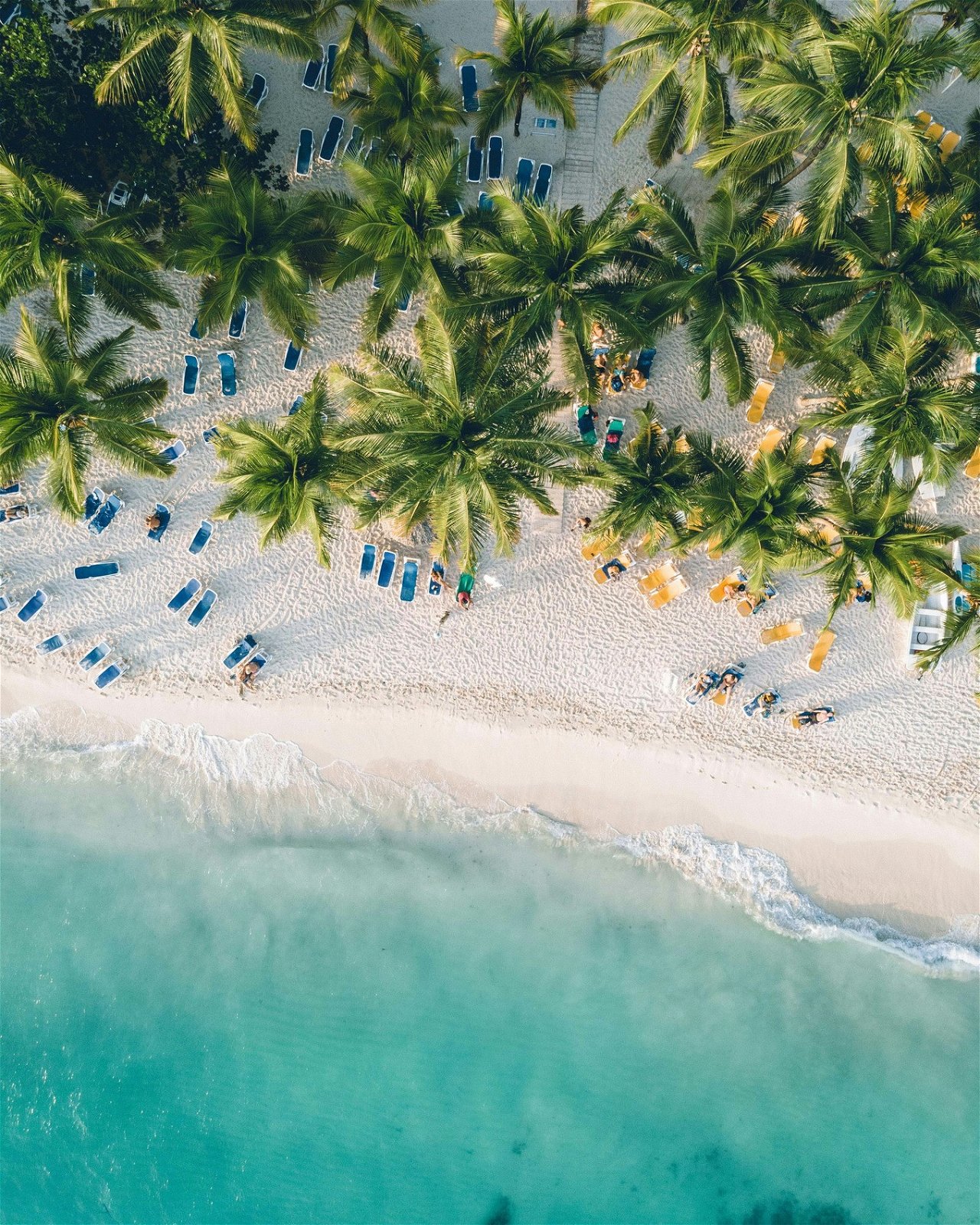 Dominicaans republiek vakantie - Dominicus Beach