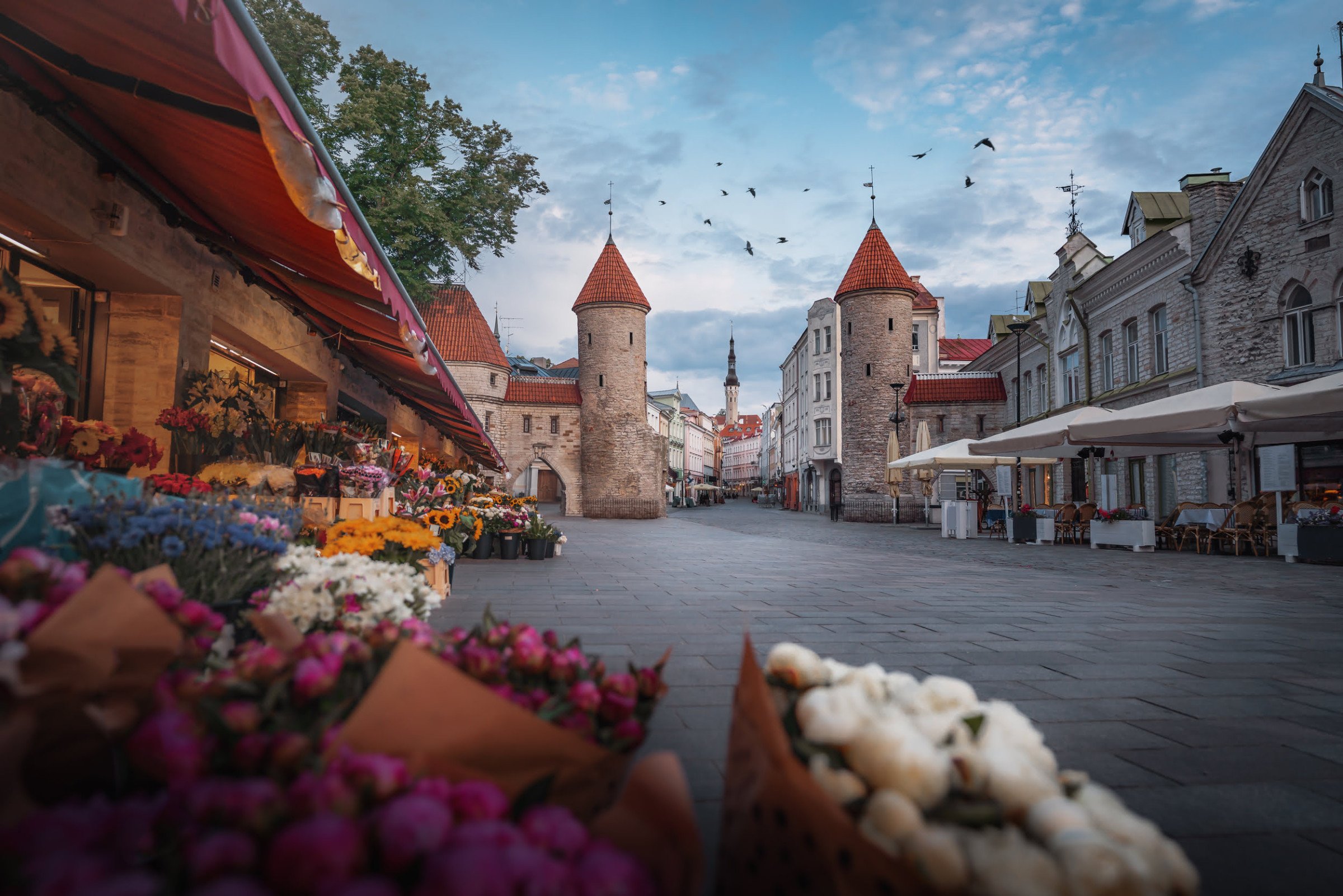 Tallinn - Vakantie Estland