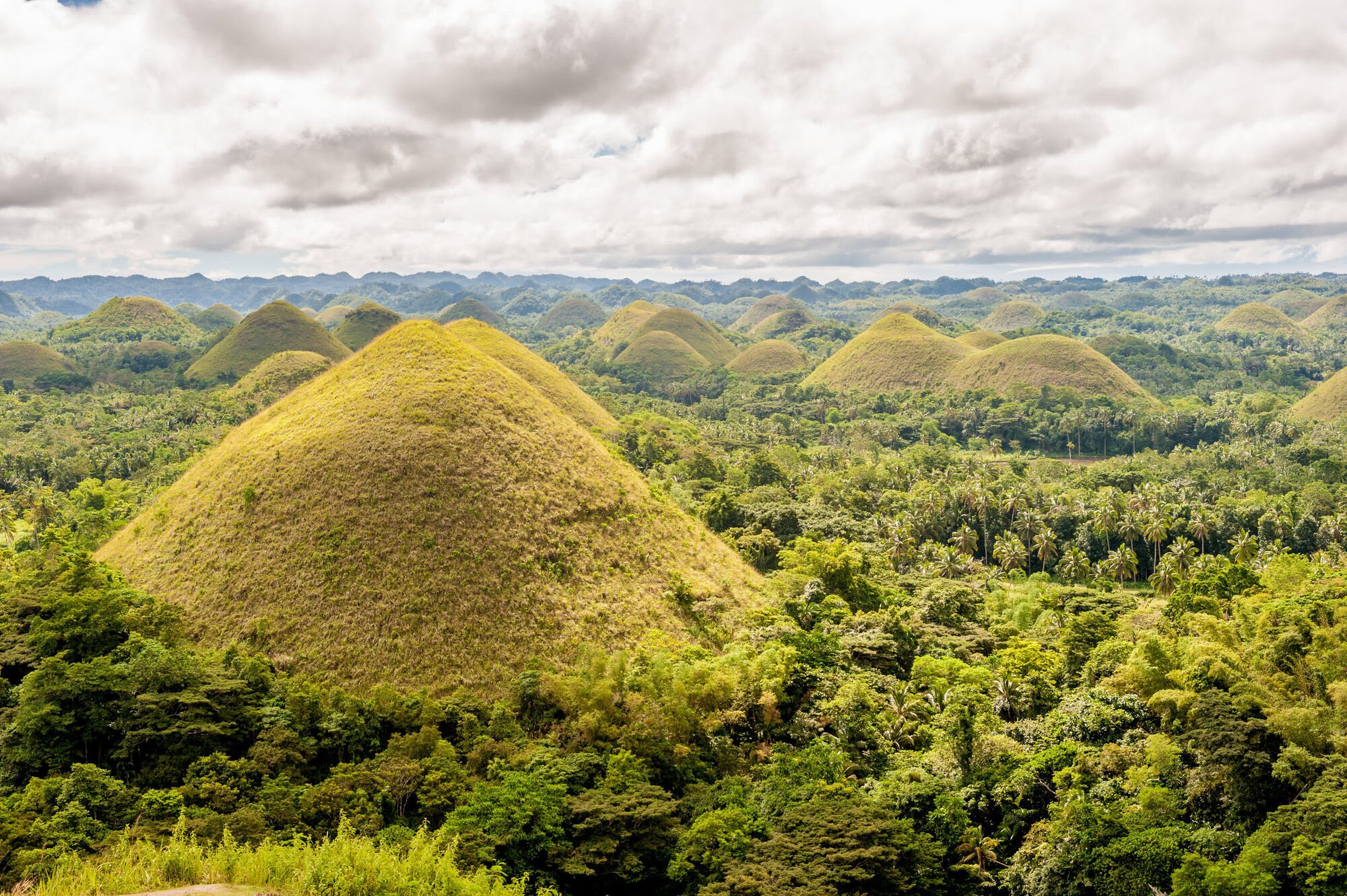 Chocolate Hills - Filipijnen rondreis