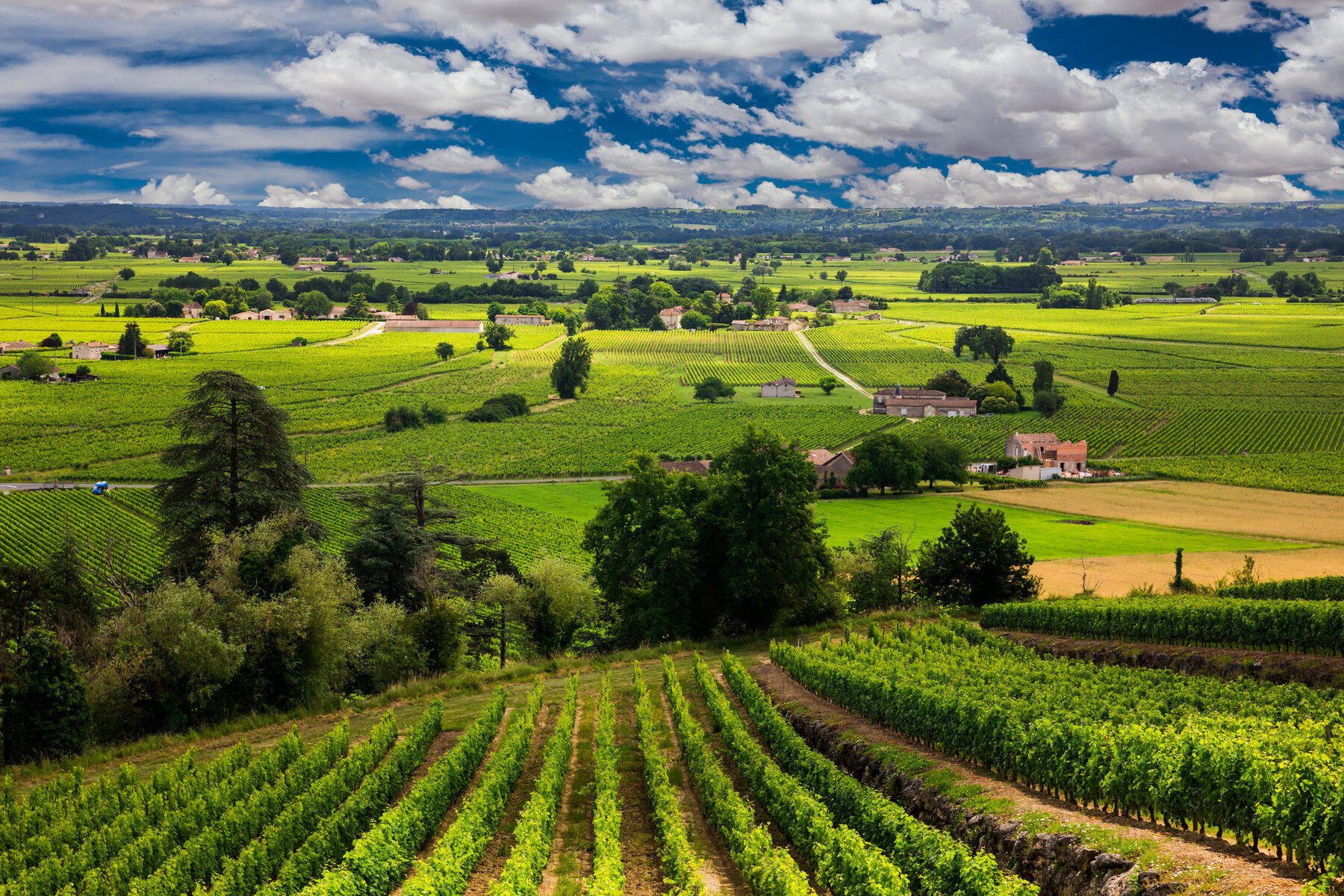 Wijngaarden - Frankrijk rondreis