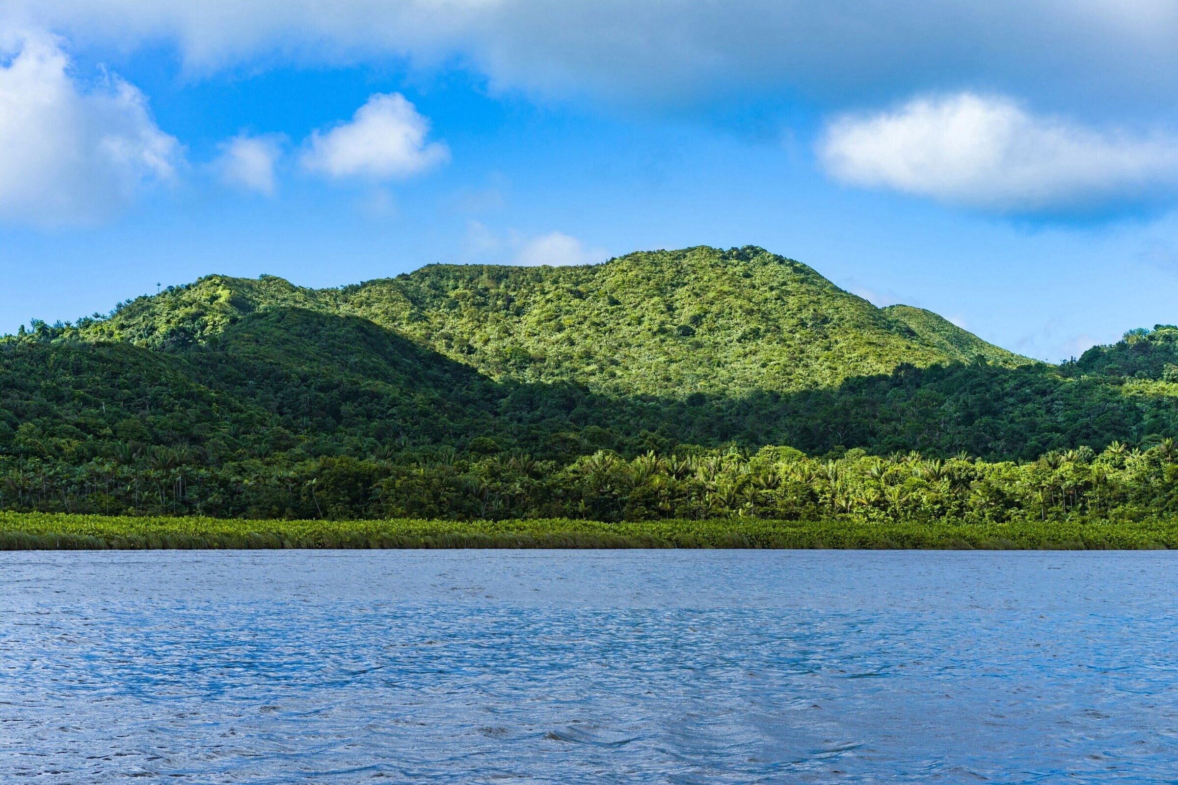 Natuur - Vakantie Grenada