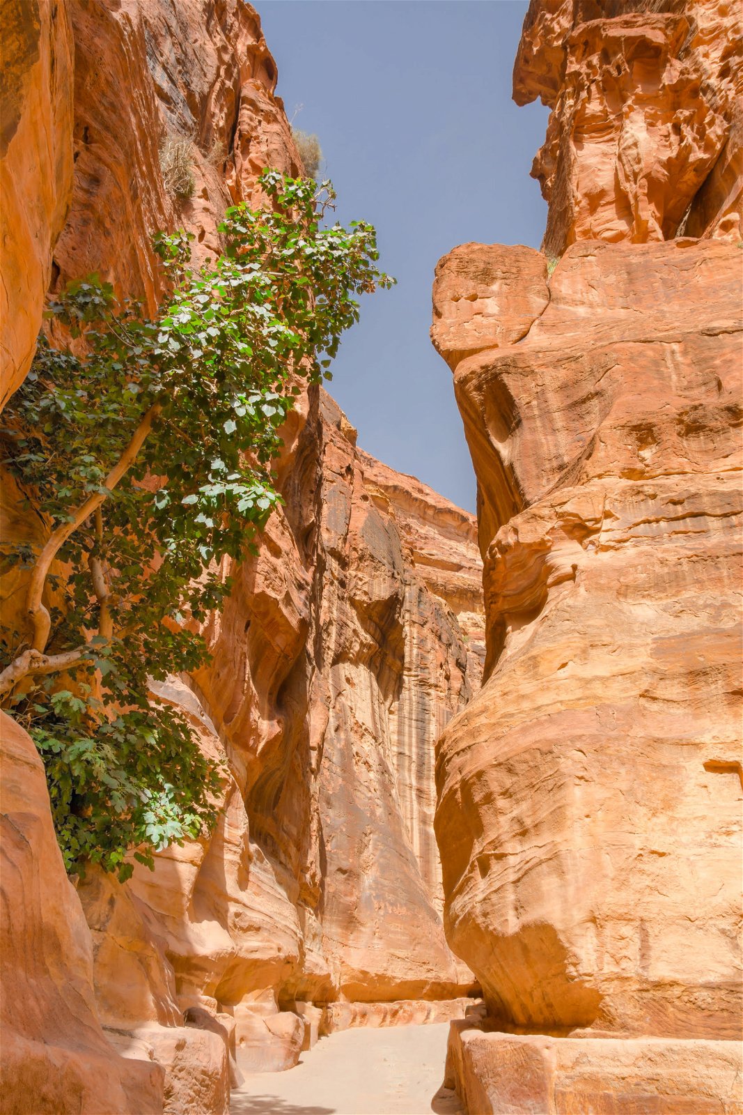 Canyon - Jordanië rondreis
