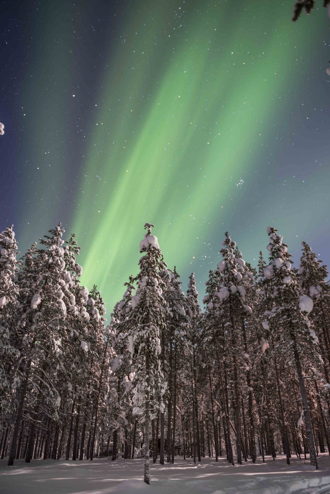 Lapland reizen  Noorderlicht