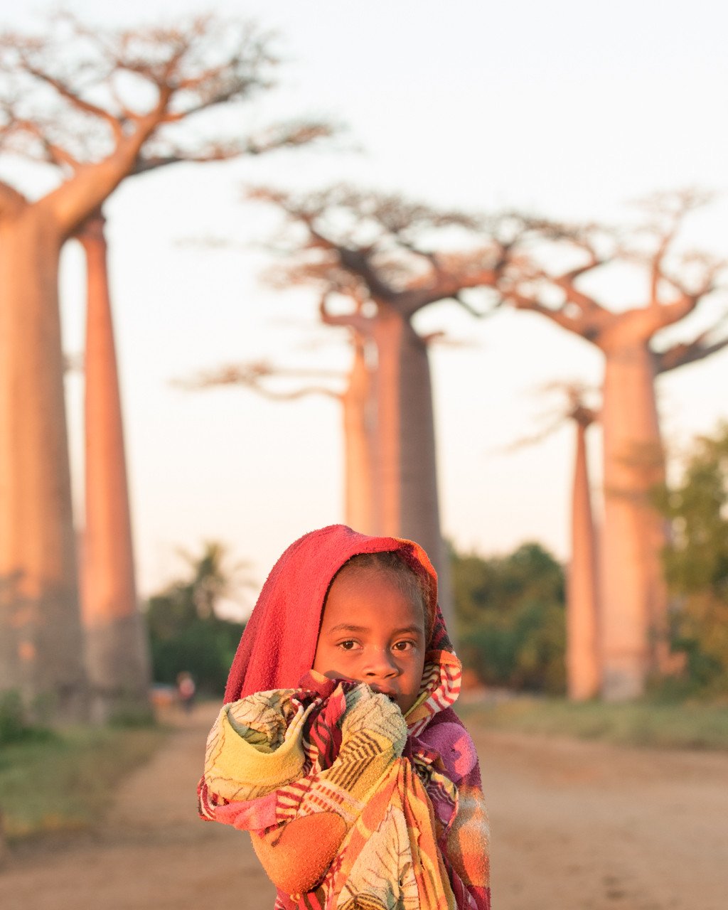 Baobabs Alley - Rondreis Madagascar
