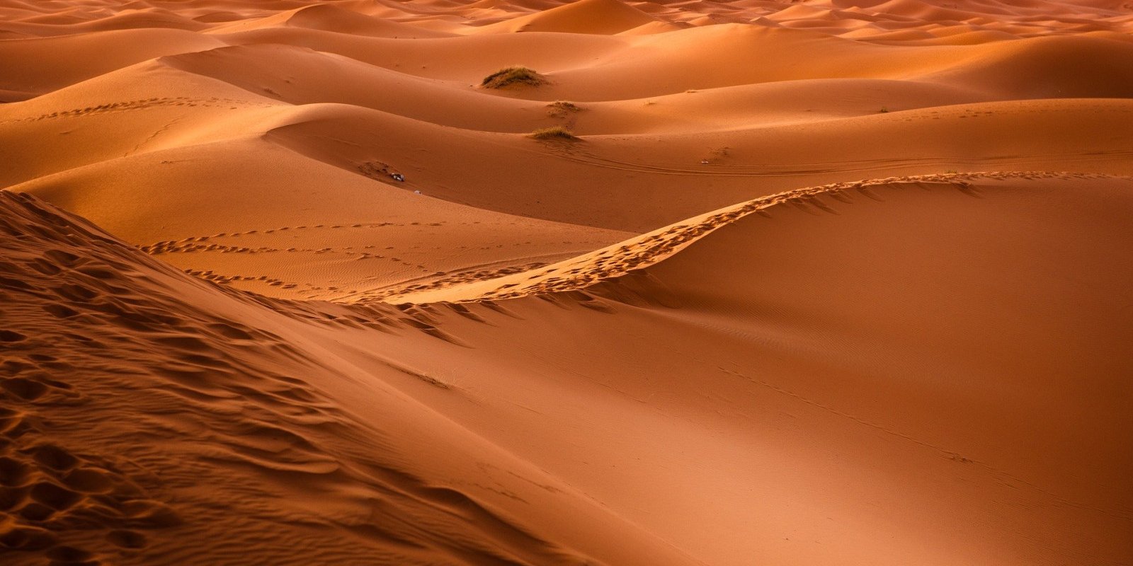 Sahara - Marokko rondreizen