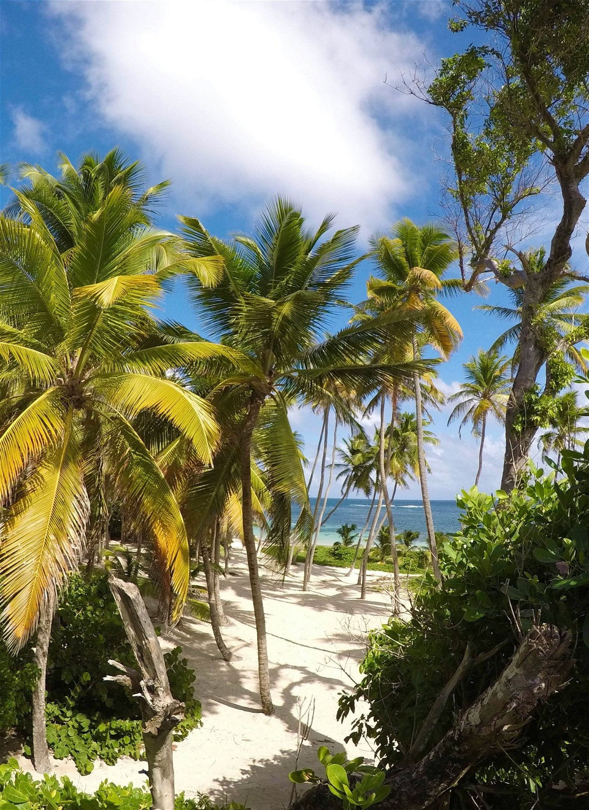 Martinique vakantie - Sainte Anne
