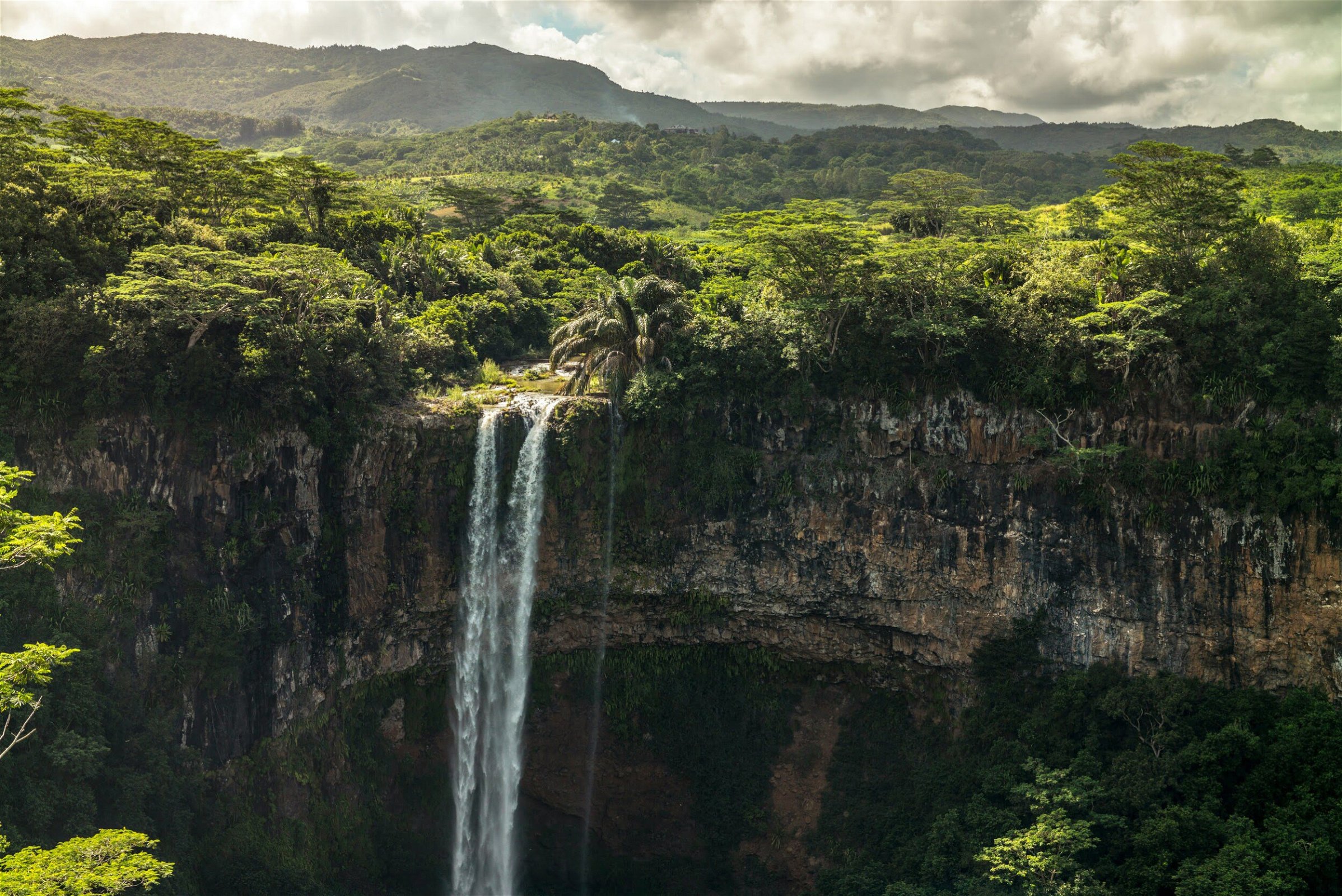 Rainforest - Waterval - Mauritius vakantie