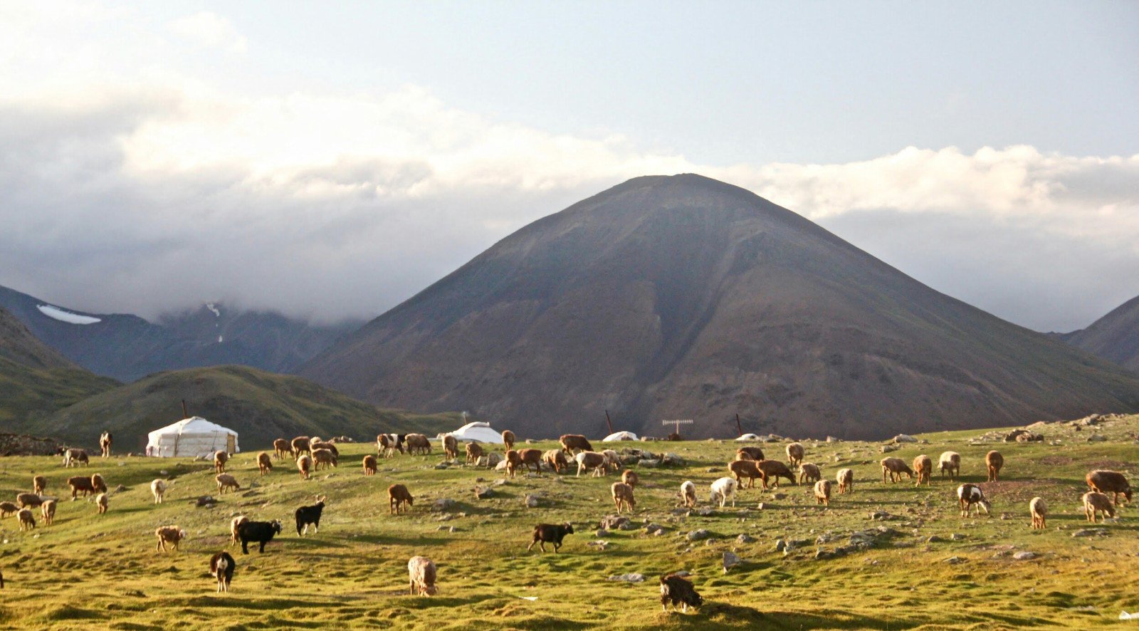 Altai Bergen - Mongolie reizen