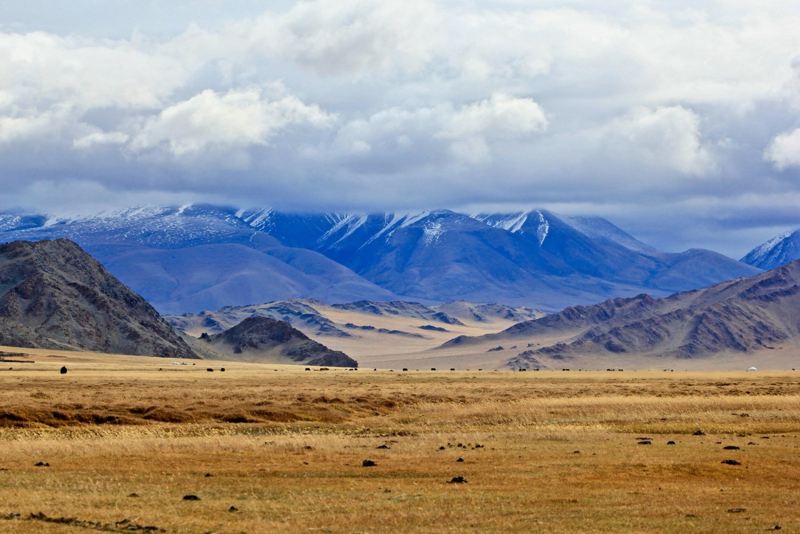 Altai Mountains - Mongolie reizen
