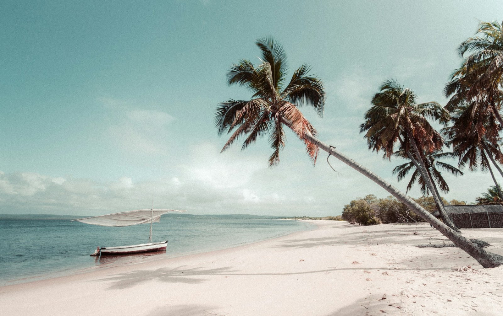 Strand - Palmbomen - Mozambique reizen