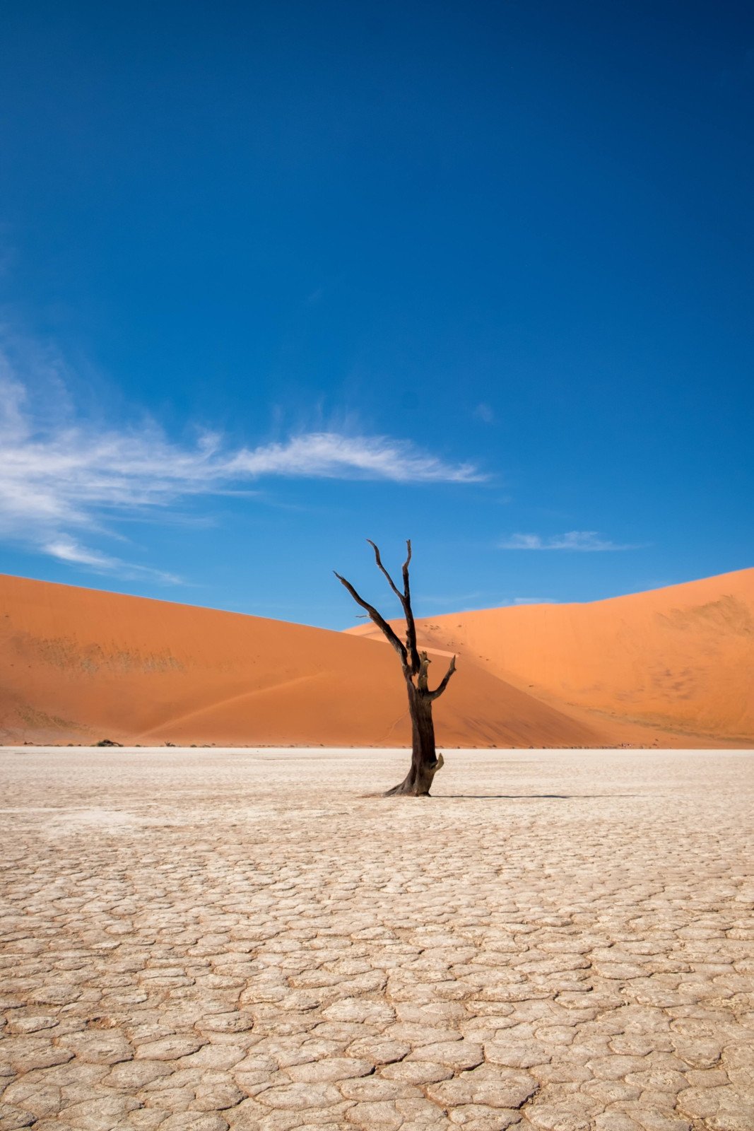 Namib deseert - Namibië rondreis