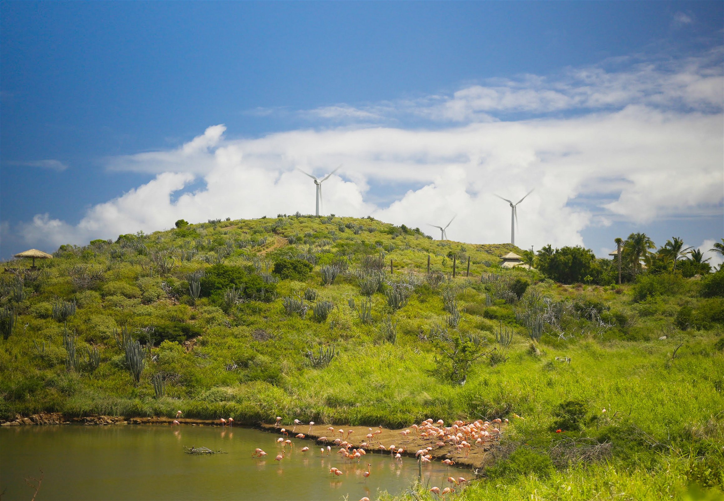 Necker Island vakantie - Wind turbines