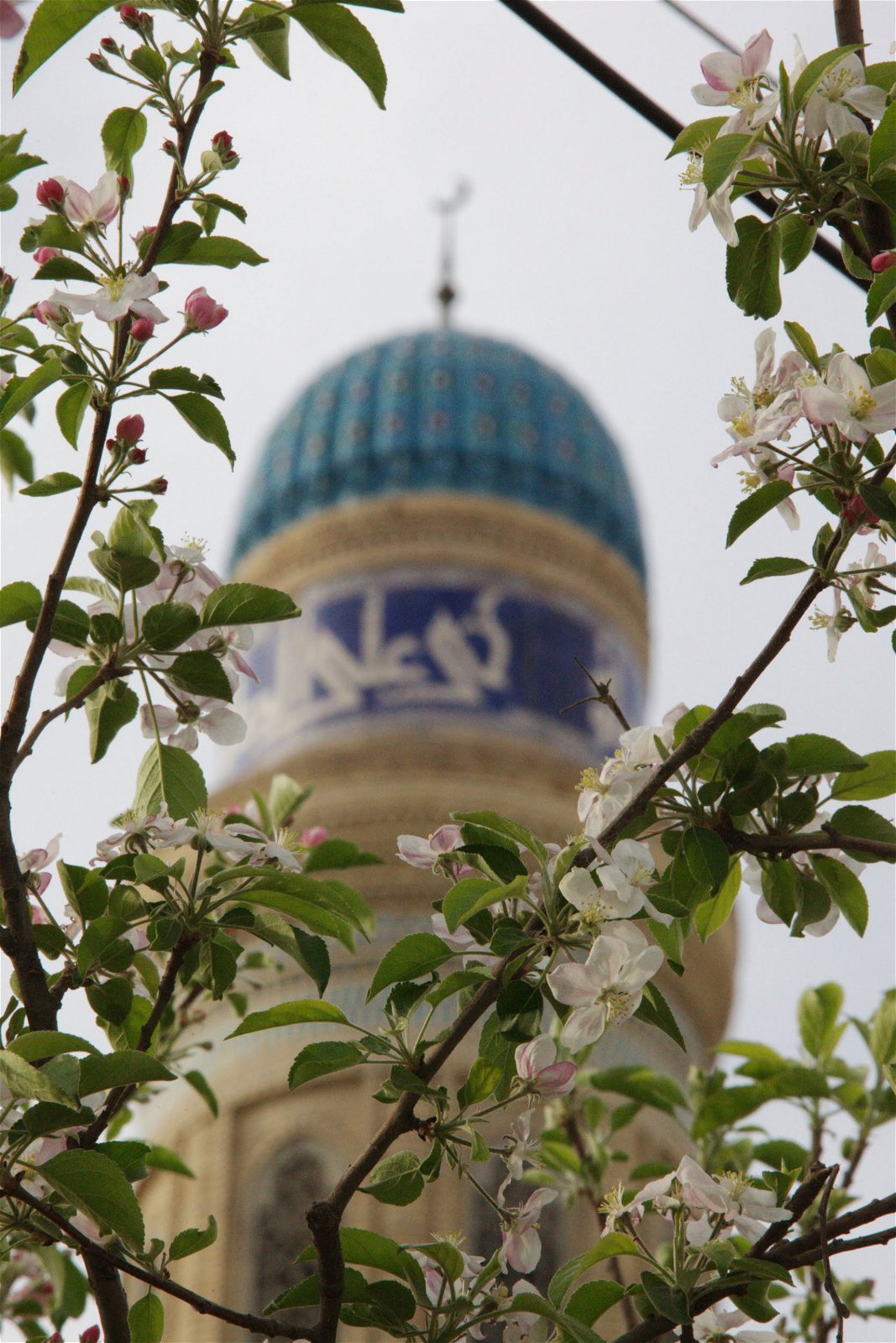 Mosque (Andijan) - Oezbekistan reizen