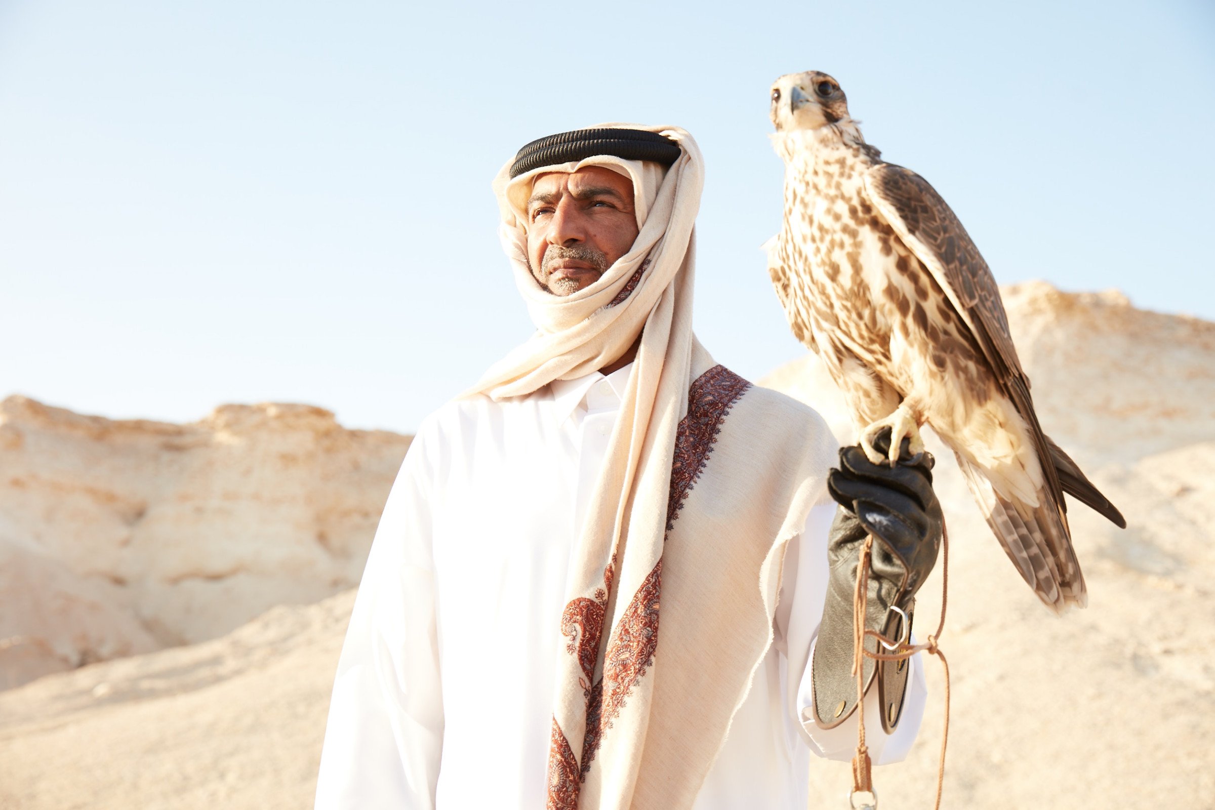 Falcon - Rondreis Qatar