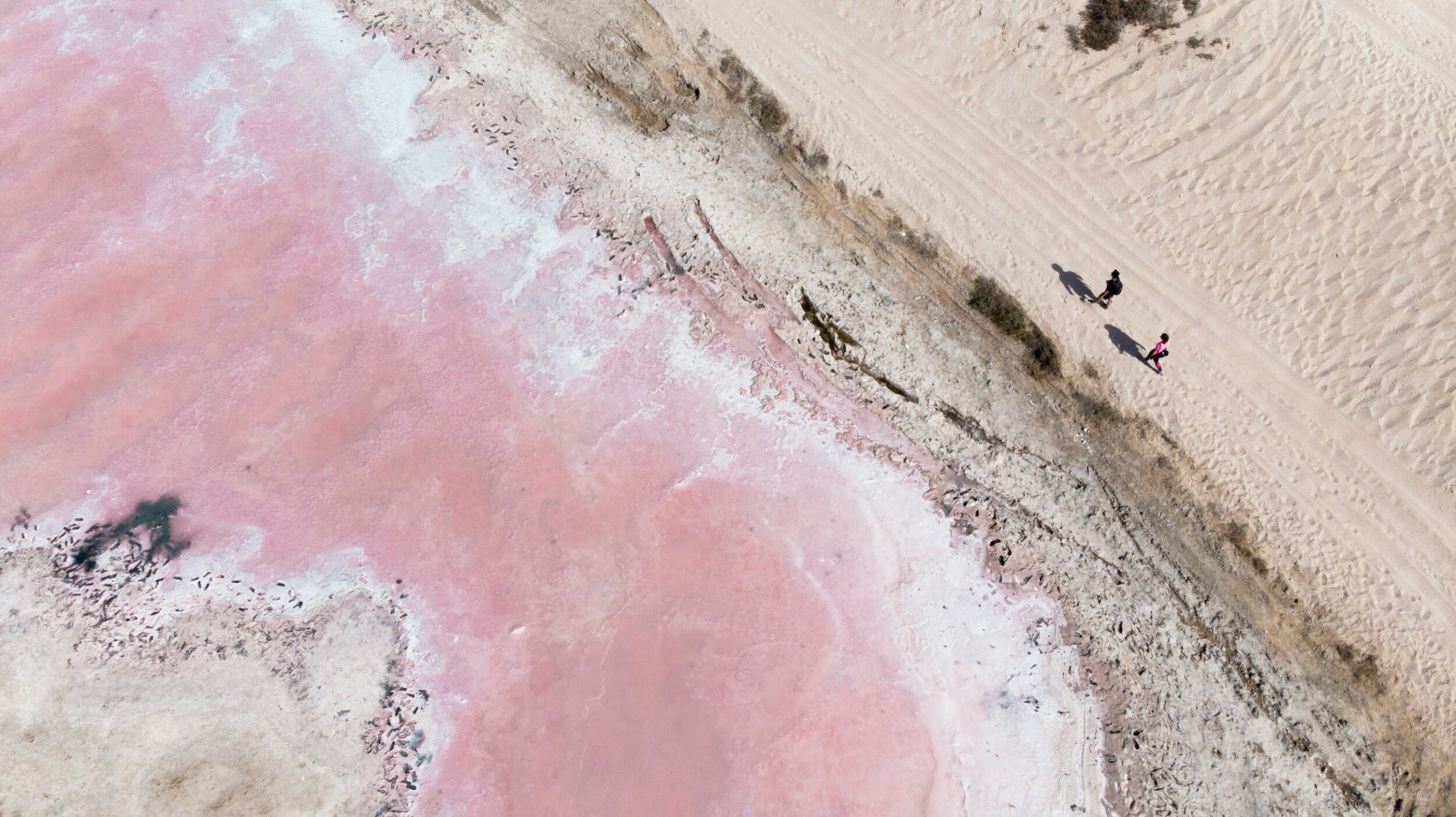 Pink Lake - Ras al Khaimah reizen