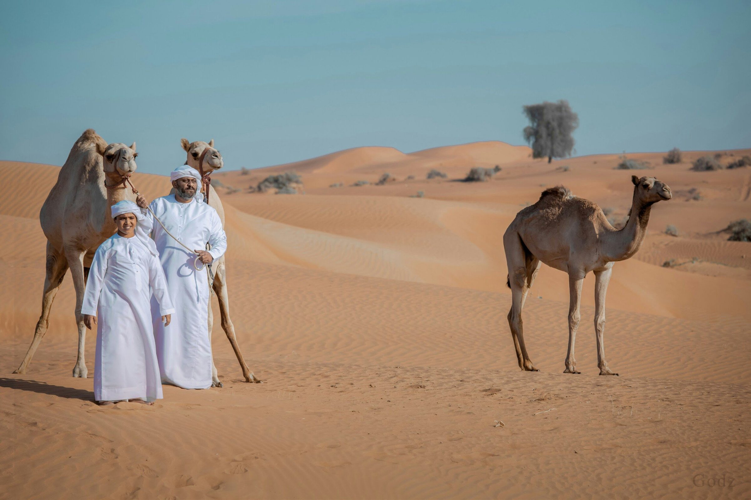Woestijn - Ras al Khaimah reizen