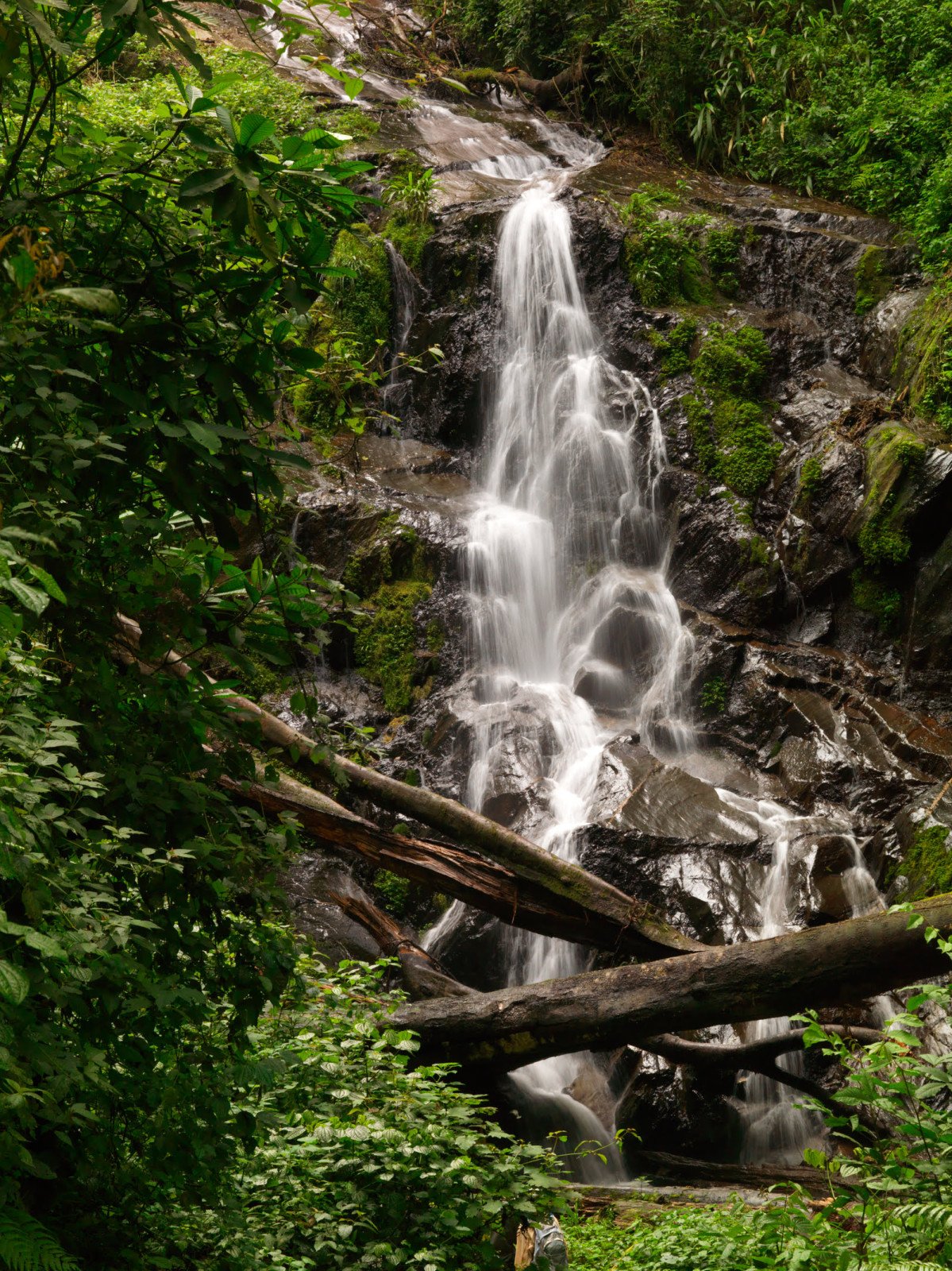 Nyungwe forest NP - Waterval - Rwanda reizen