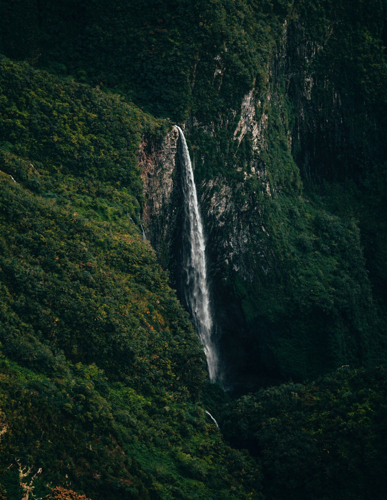 Waterval - Réunion vakantie