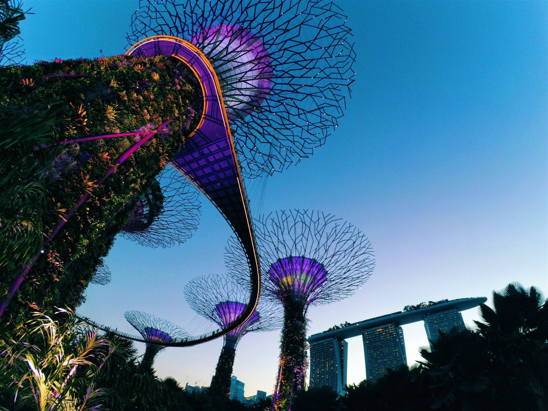 Gardens by the Bay - Singapore vakantie