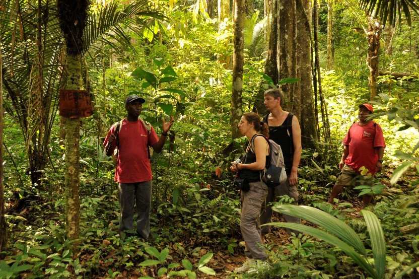 Regenwoud -Suriname reizen