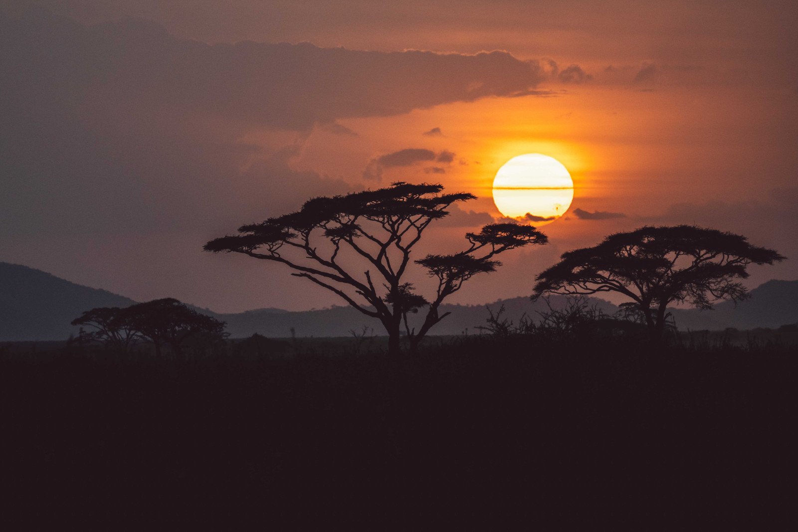 Tanzania - sunset - Rondreis - Safari