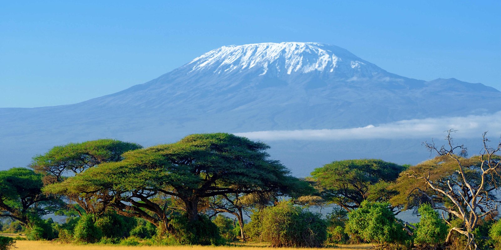 Kilimanjaro - Tanzania - Rondreis - Safari