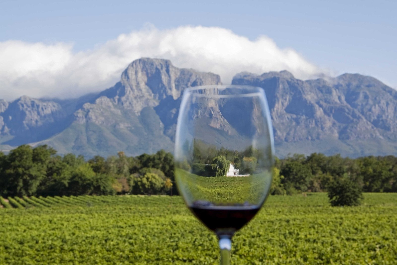 Wijnlanden - Rondreis Zuid-Afrika