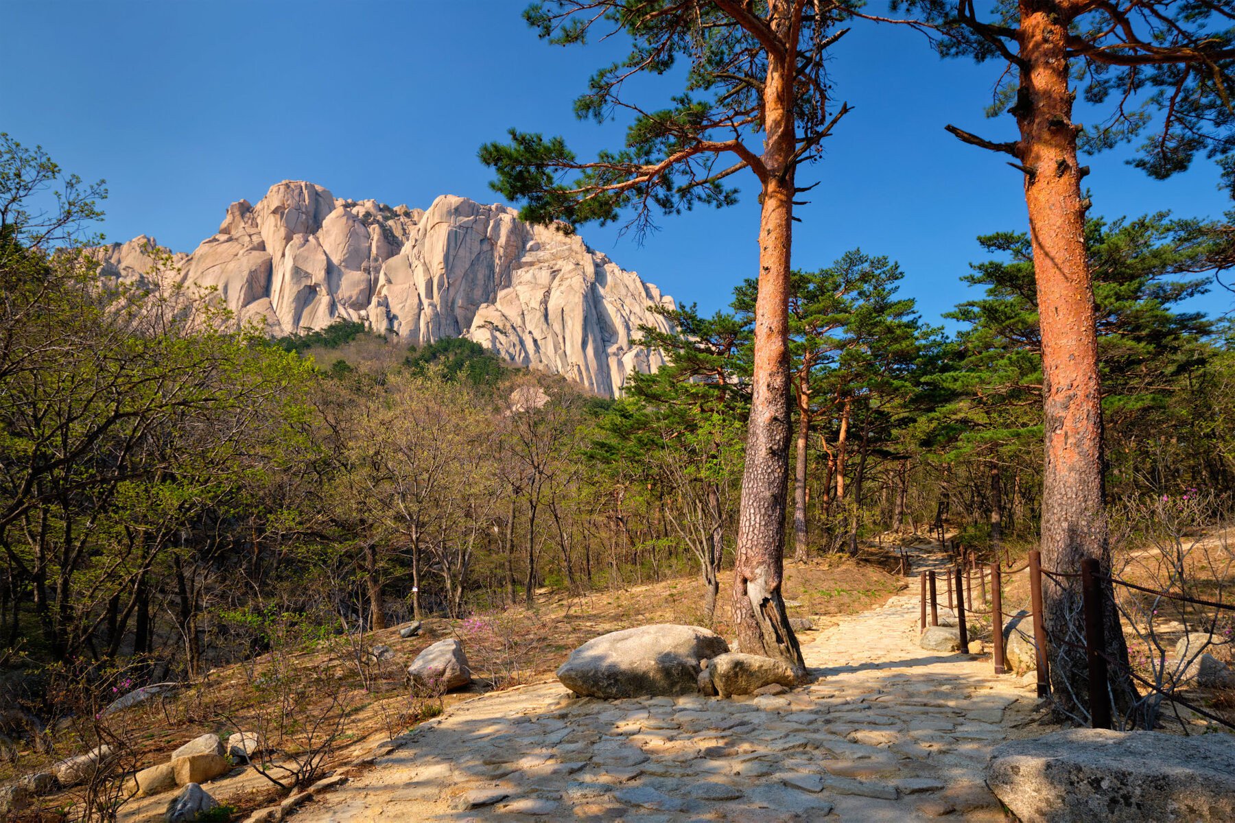 Ulsanbawi Rock - Seoraksan National Park - Zuid-Korea rondreis