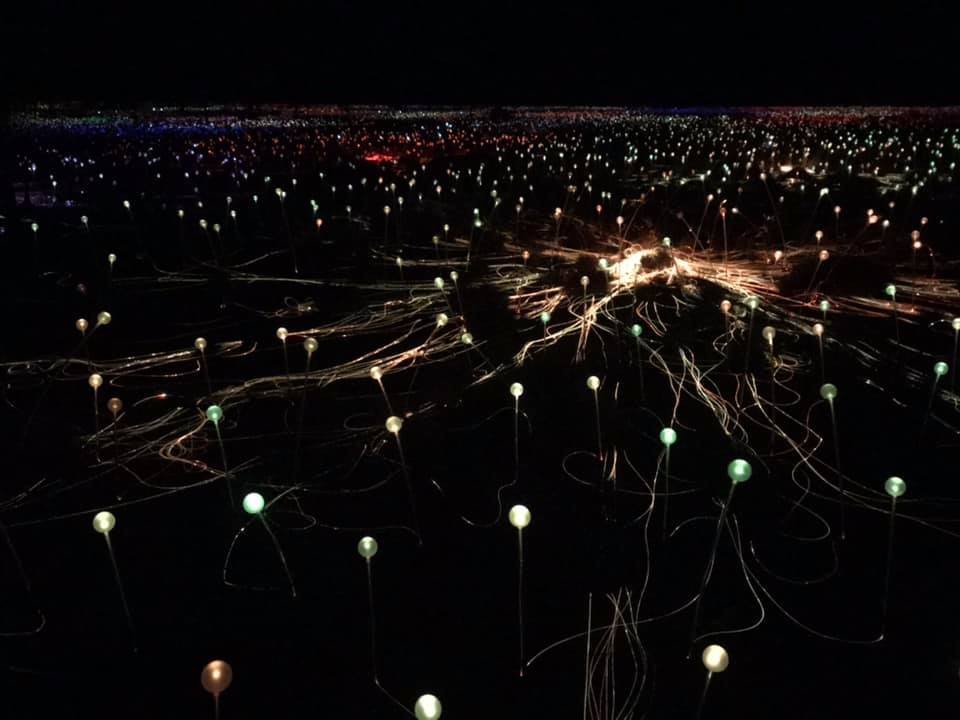 australië-avond-uitzicht-field-of-lights