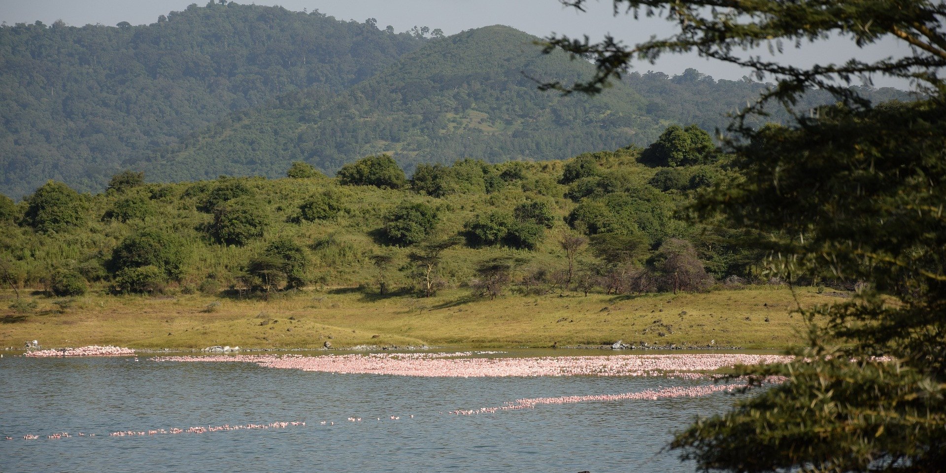 tanzania-arusha-national-park