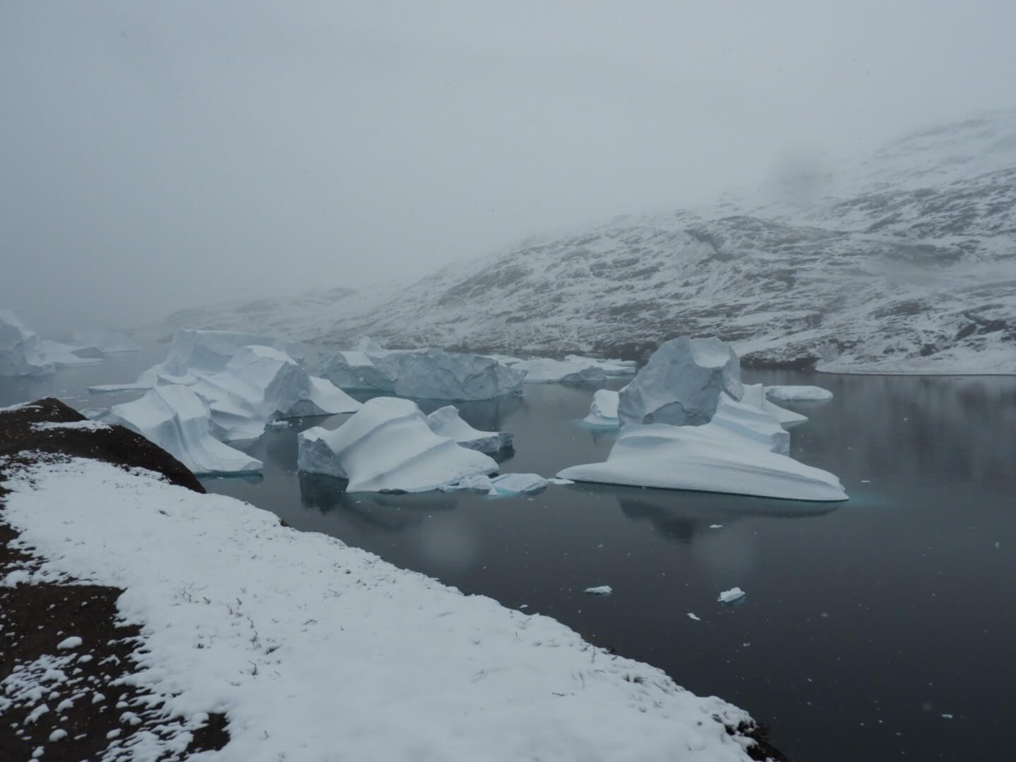 noordoost-groenland-gletsjers