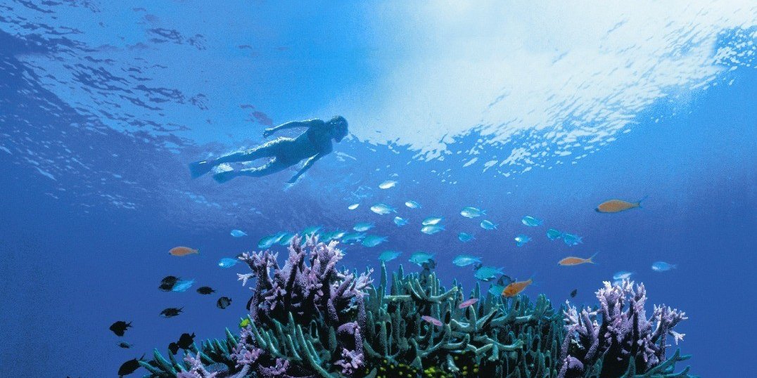 great-barrier-reef-australië