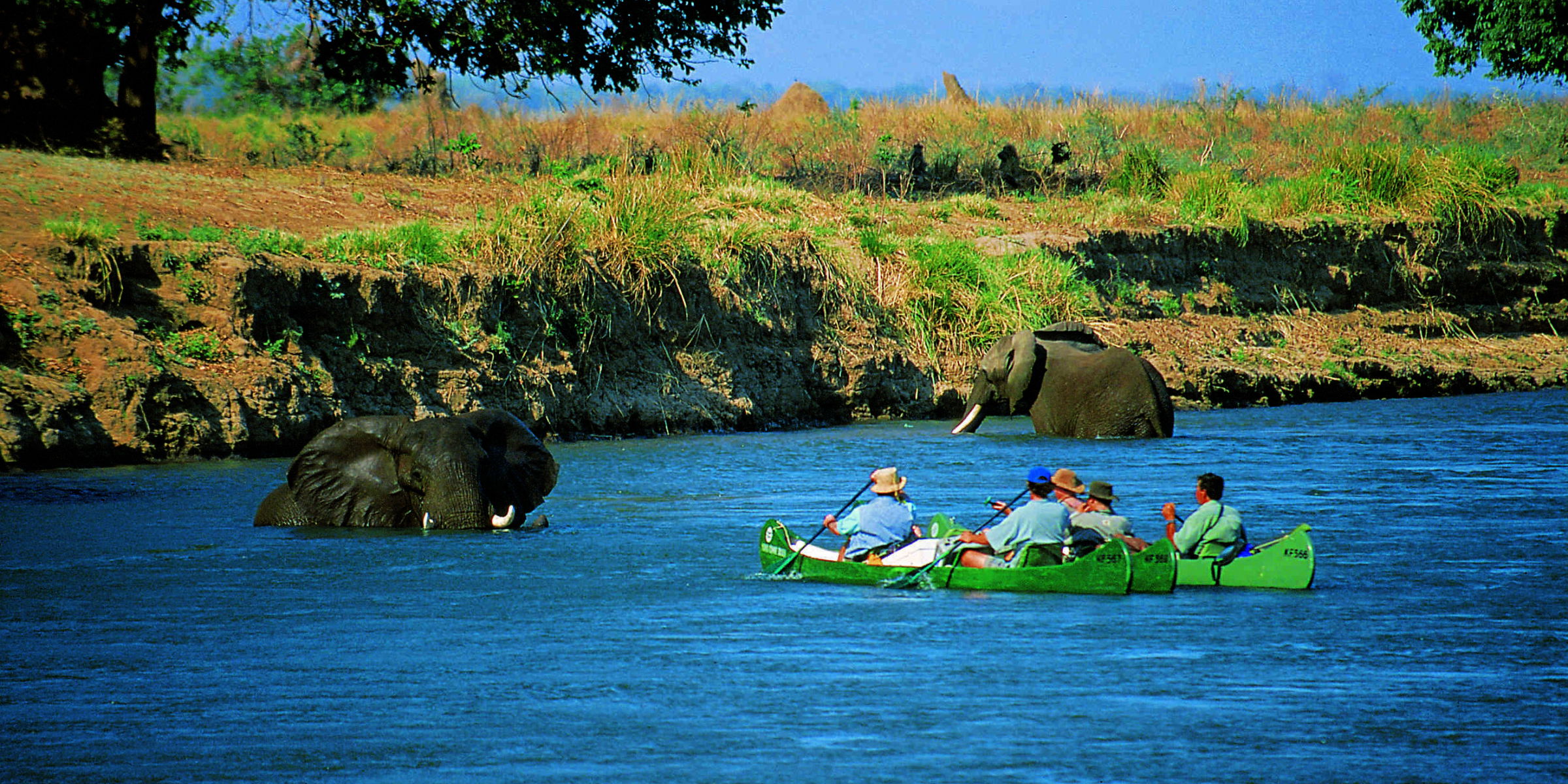 kanosafari-zimbabwe