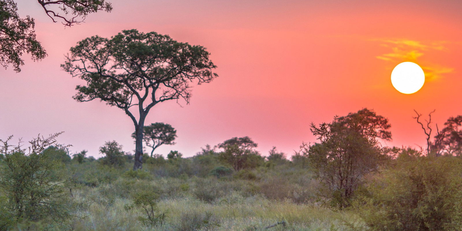 Zonsondergang - Zuid-Afrika
